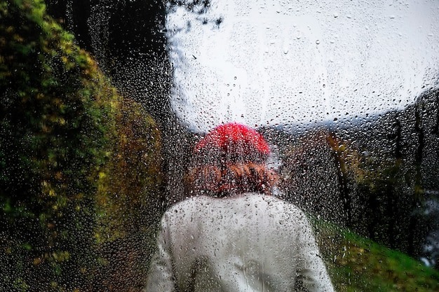 Weather Forecast for May 31: Heavy Rain Expected; Areas on Alert