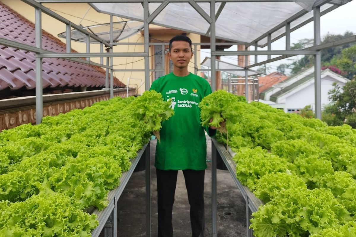 Building food self-sufficiency from a cramped attic