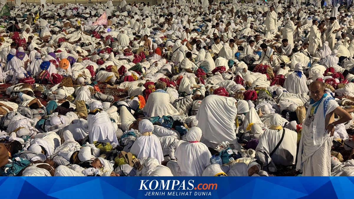 Hajj Deaths Drop Sharply in 2026 Amid Improved Management