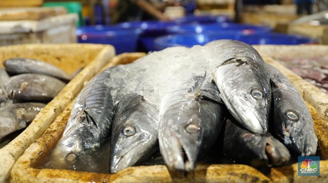 Businesses Request Fisheries Exclusion from DHE SDA Policy in Letter to Airlangga