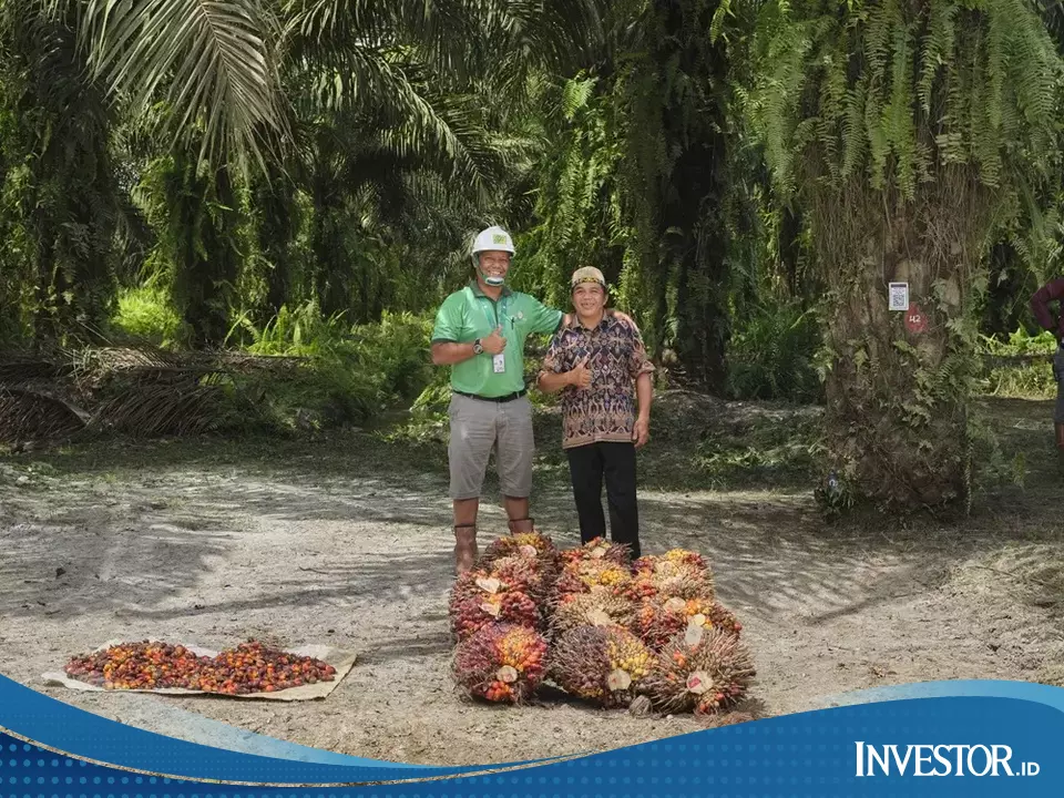 Stabilitas Rantai Pasok Harus Jadi Prioritas - Investor Daily