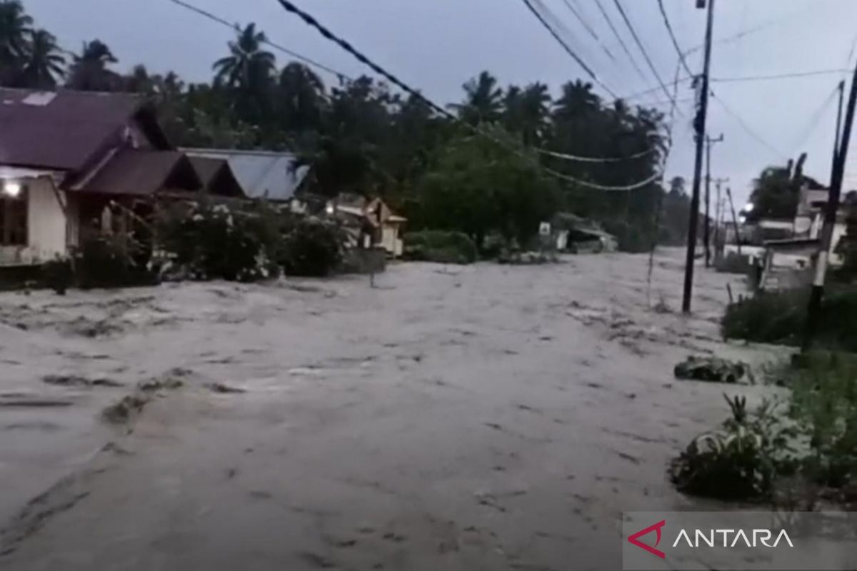 BNPB: Heavy Machinery Needed for Poso Flood Response