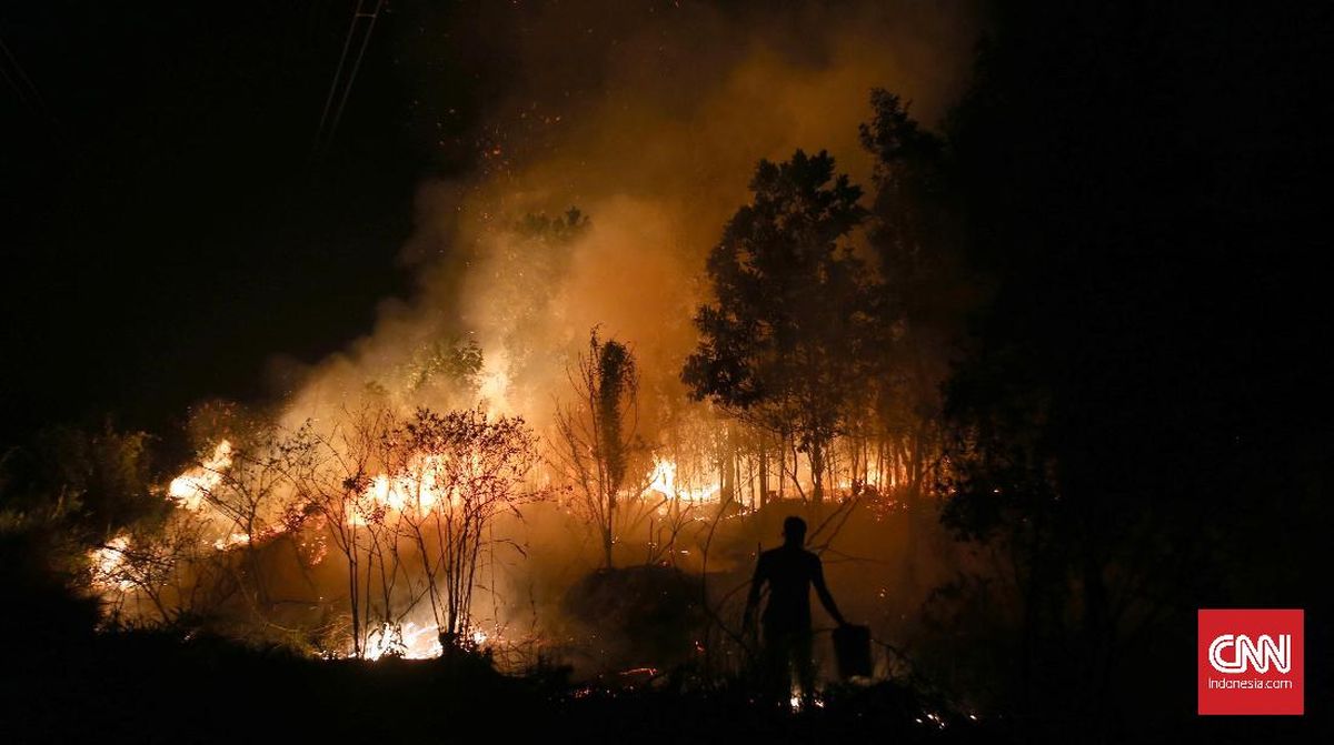 South Sumatra's Forest Fires Worsen with 182.54 Hectares Burned in First Four Months of 2026