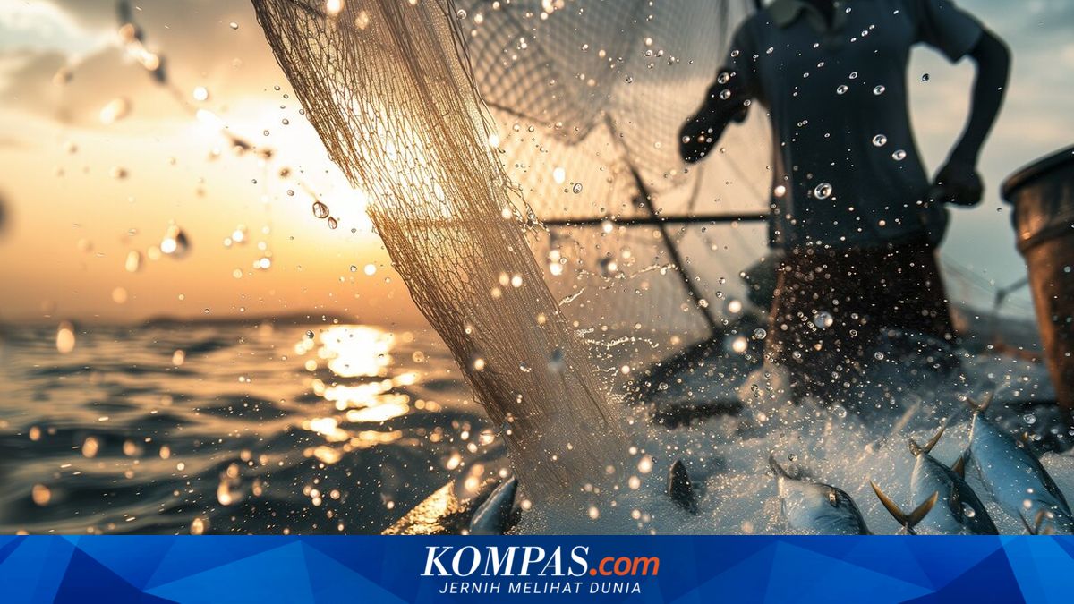 KKP Expands Indonesia's Fishery Export Access to China