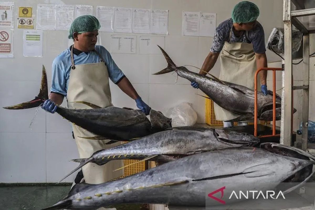 Indonesia expands fishery export access to China