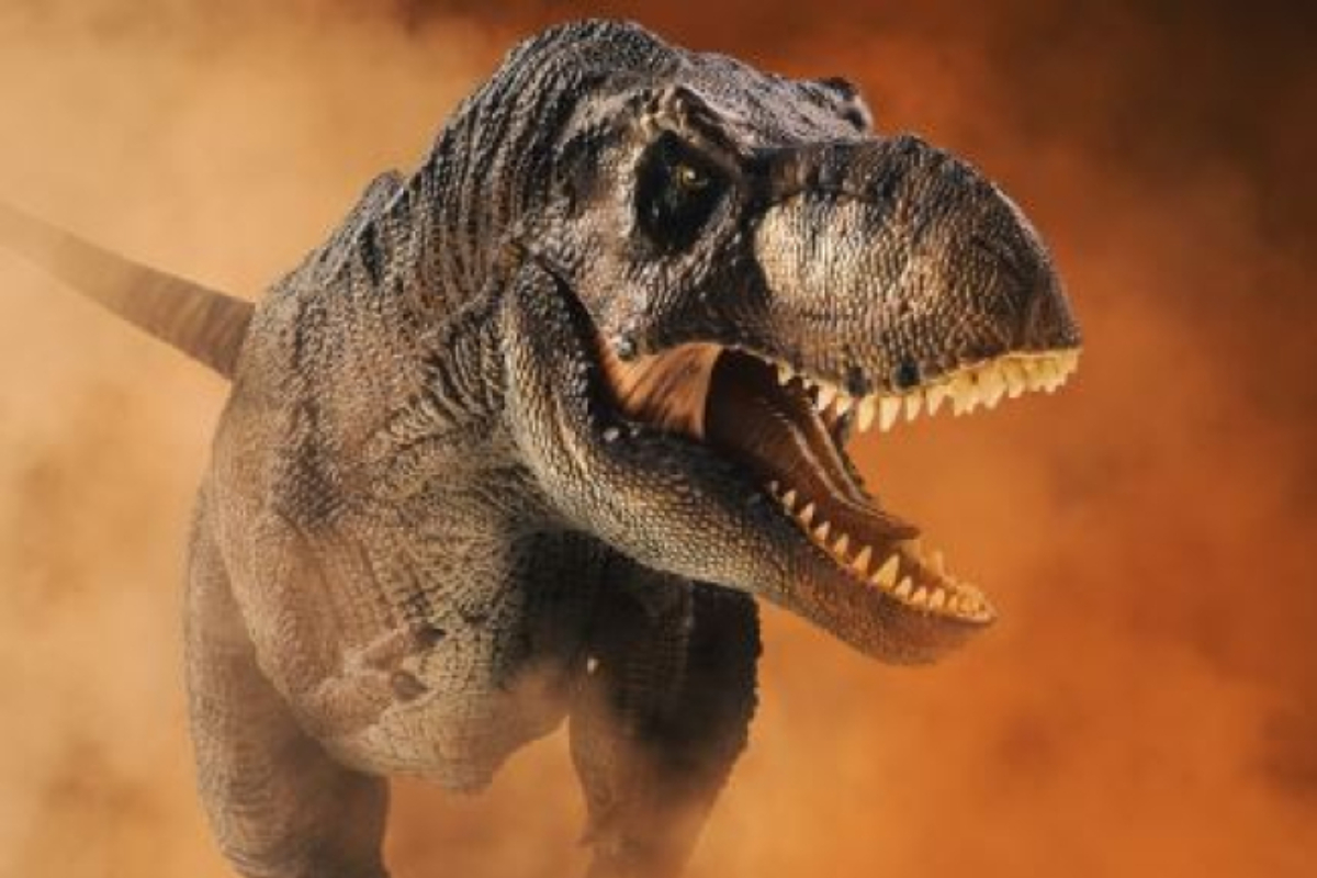 Scientists Explain Why T. rex Had Small Arms