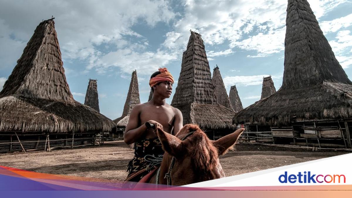 Visiting Sumba? Experience Horseback Riding in Traditional Attire at Umbu Ngedo Village