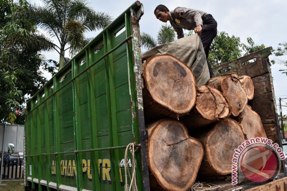 Ministry of Forestry arrests two illegal loggers in South Lampung protected forest