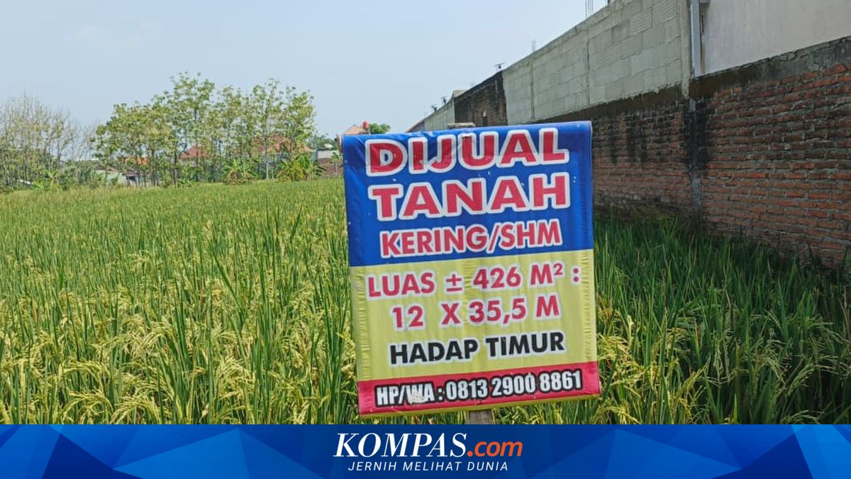Checking Land Status Using Notary PPAT Services