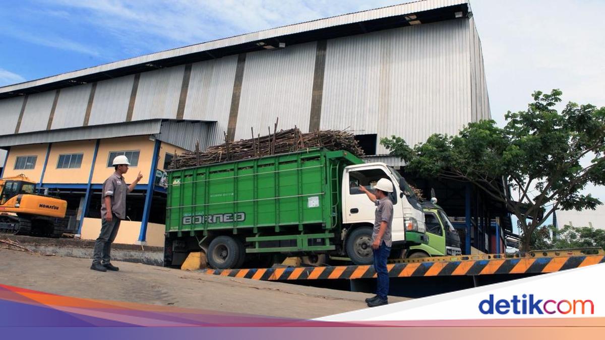 BULOG Supports Efforts to Ensure Smooth Distribution of Farmers' Sugarcane in Blora