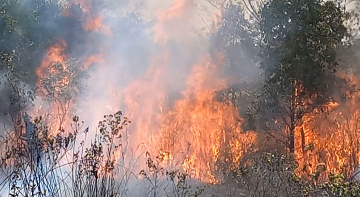 Hundreds of Hotspots Detected in Bangka Belitung