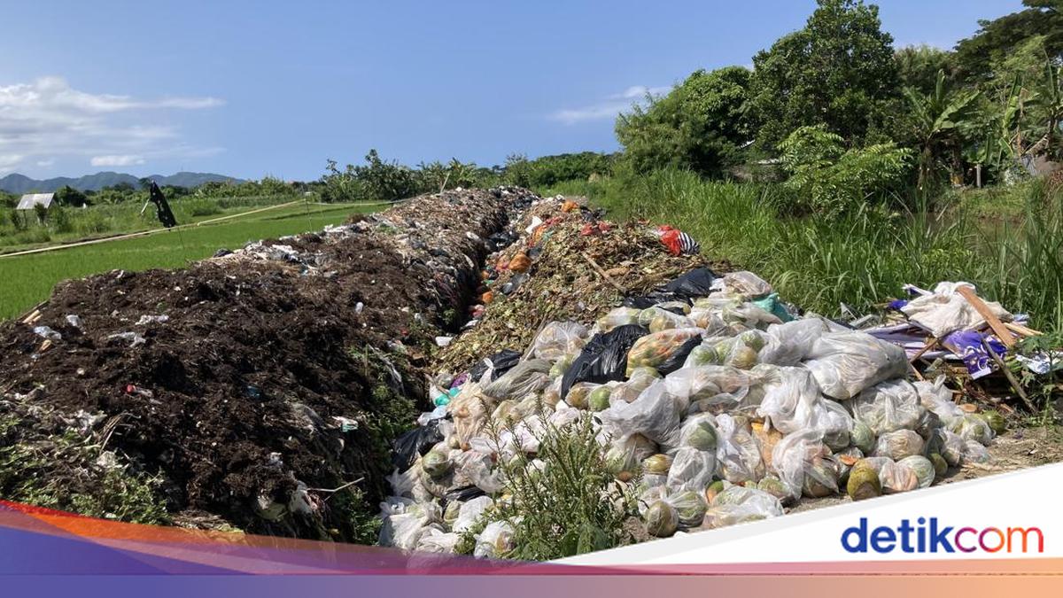 PT Asta Manah Liang Forced to Dump Waste Beside Rice Fields After TPS3R Machine Breaks Down