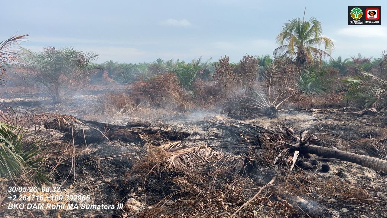 Riau's Sokoi-Pelalawan Karhutla Fires Intensify