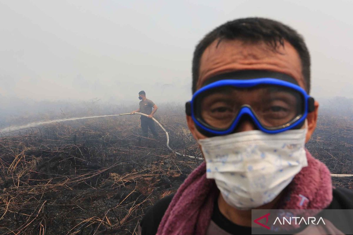 West Aceh firefighters battle dozens of hectares of forest and land fires