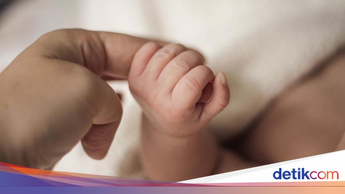How to Apply for a Birth Certificate Online via IKD: Step-by-Step Guide