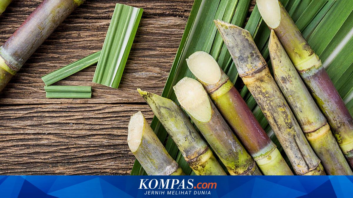 Bulog Ensures Smooth Sugarcane Distribution for Blora Farmers