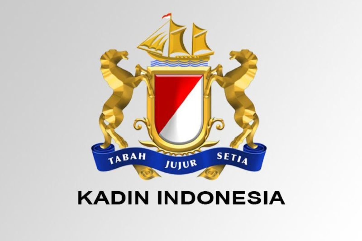 Kadin says DSI curbs 'underinvoicing' and strengthens export governance