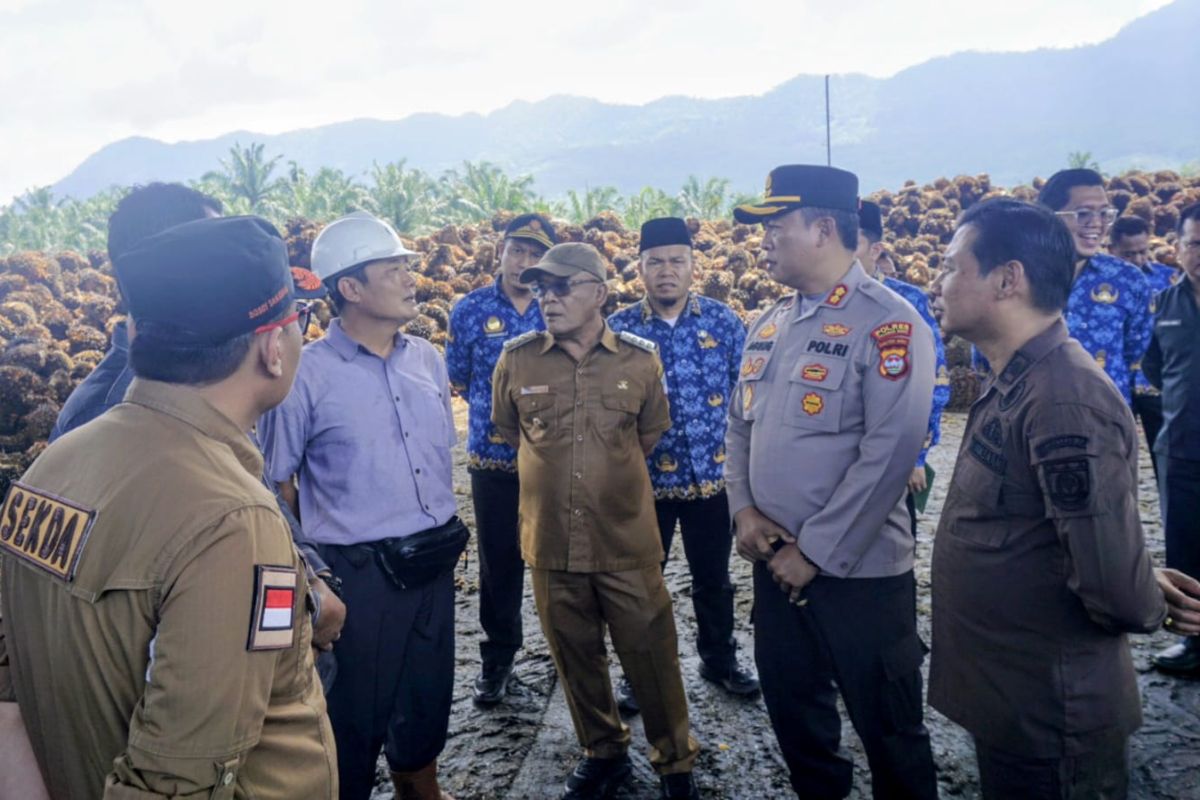 West Pasaman Regency Conducts Surprise Inspection of Palm Oil Mills Over TBS Prices
