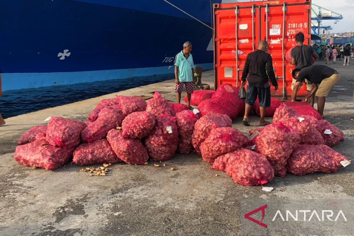 BKHIT Maluku inspects 7.7 tonnes of red onions bound for Weda in North Maluku