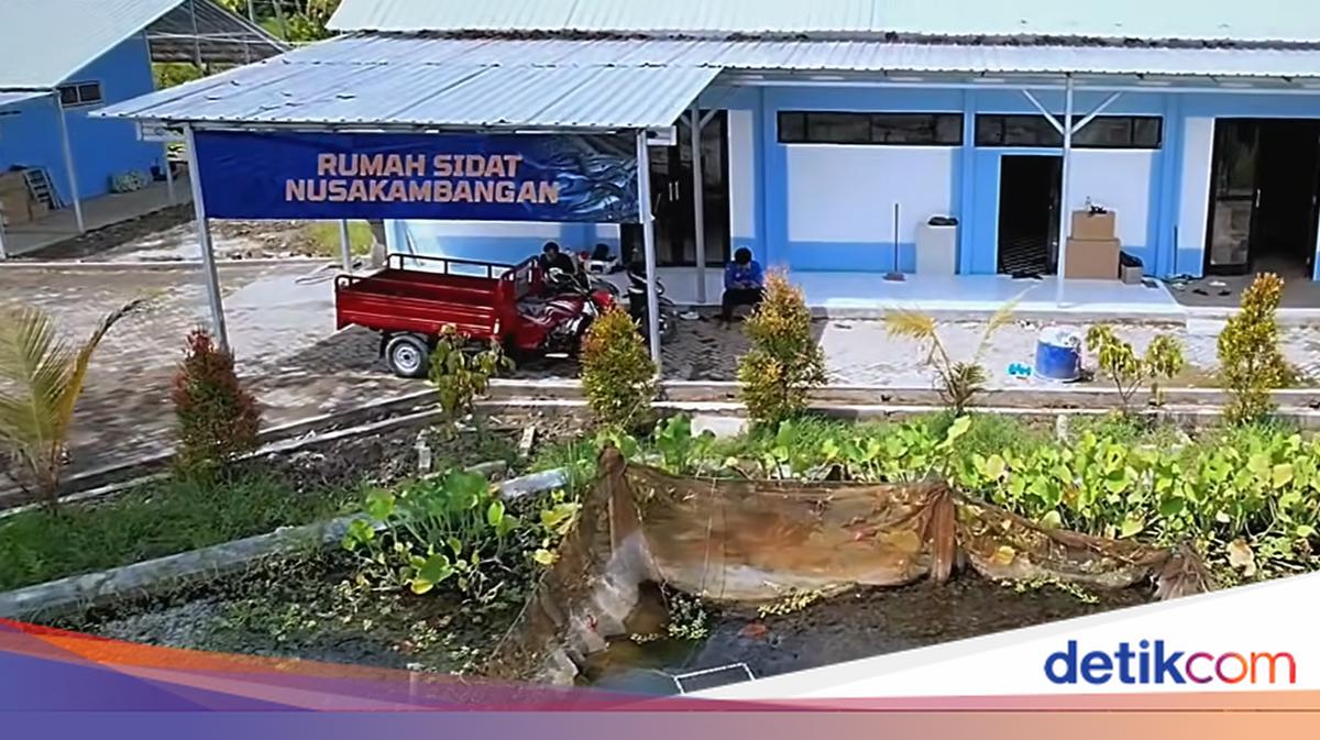 Nusakambangan Eel Farming Initiative Boosts Cilacap's Economy