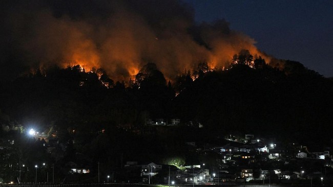 Study Finds Global Wildfires Decline but Become More Deadly