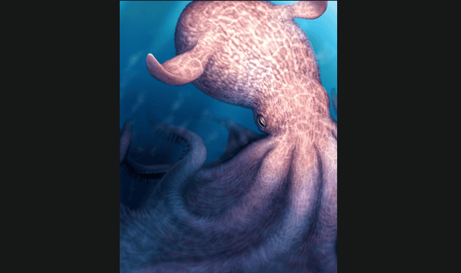 Prehistoric Giant Octopus Suspected as Top Predator of Cretaceous Oceans