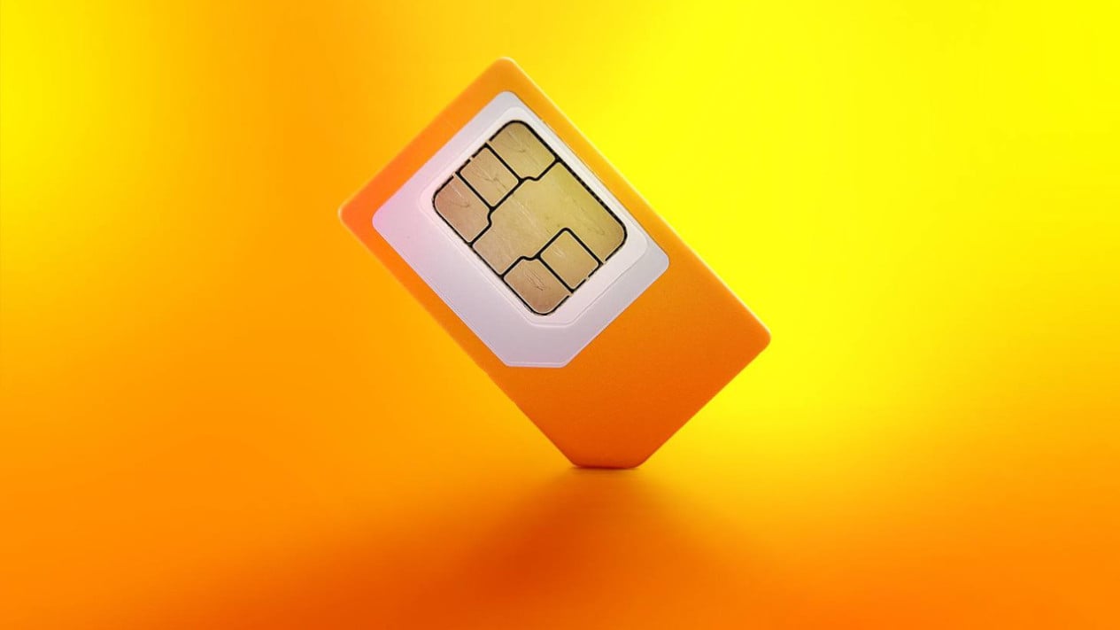 DPR Supports Facial Biometric SIM Registration to Curb Digital Fraud