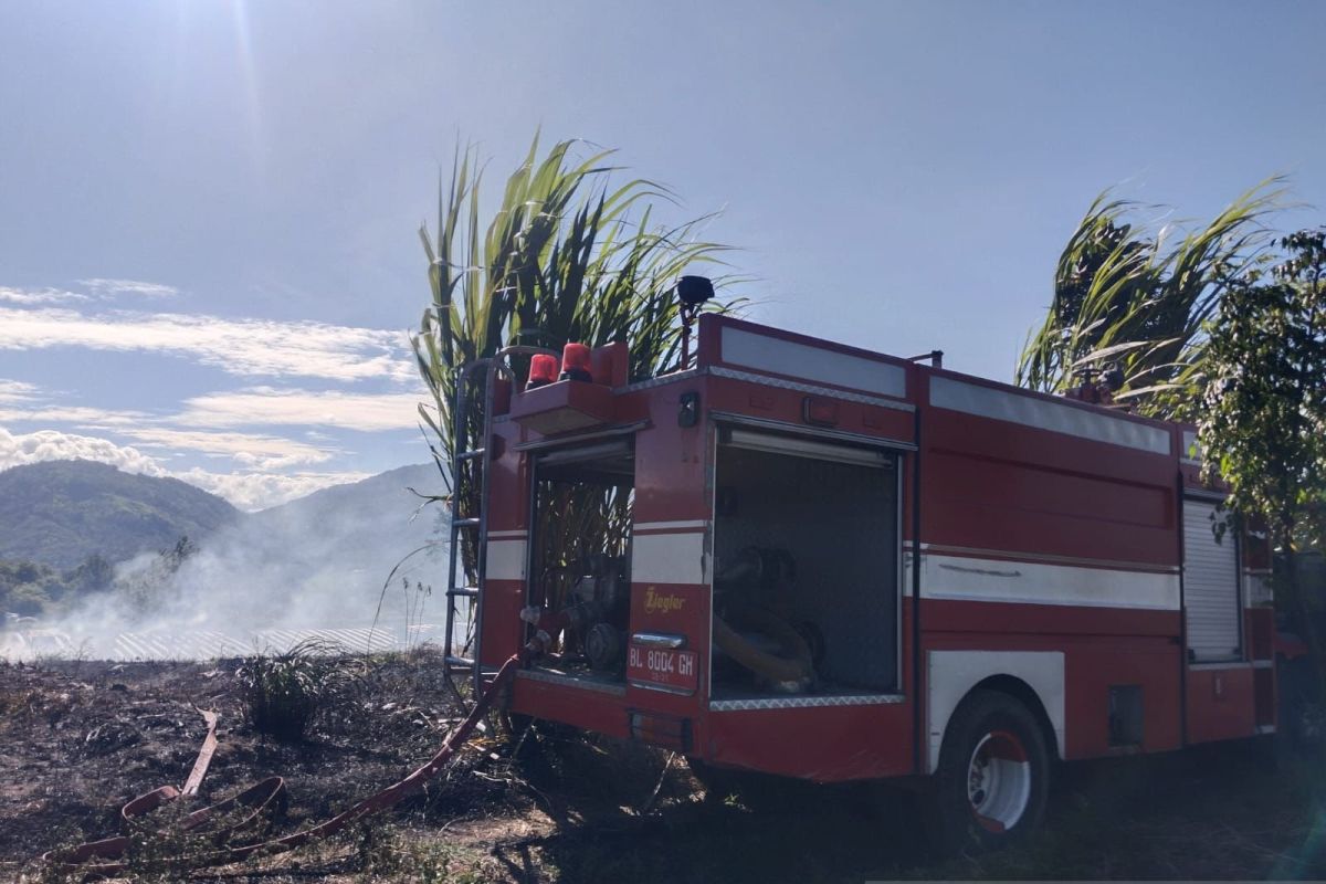 BNPB warns hot weather and strong winds could expand Aceh forest fires