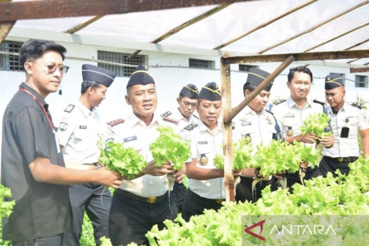 Lamongan Prison Supplies Hydroponic Lettuce to Support Free Nutritious Meals Programme