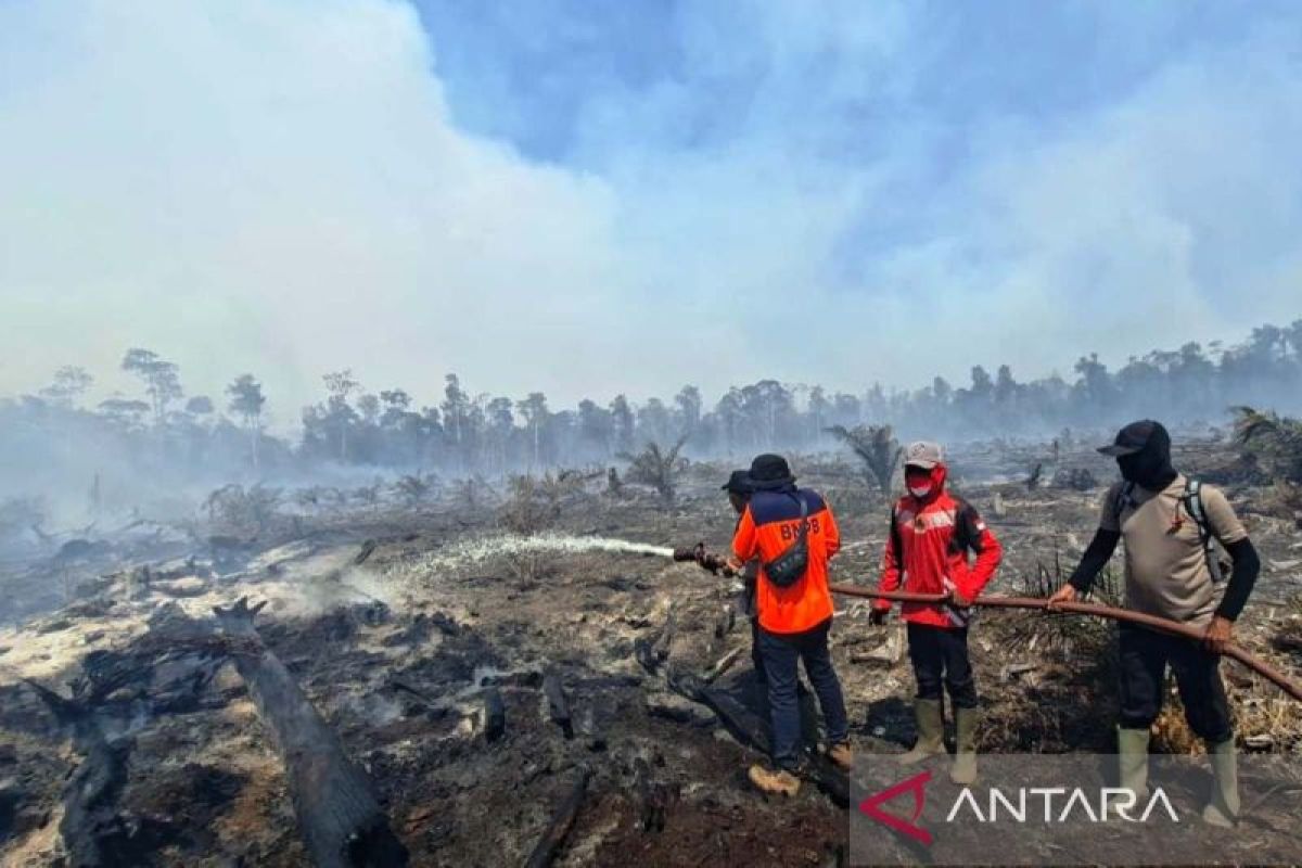 BPBD: Nagan Raya Aceh Land Fires Spread to 17 Hectares