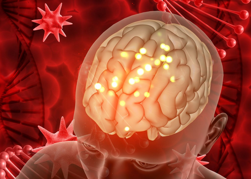 Don't Confuse Them: the Difference Between Meningitis and Japanese Encephalitis Vaccines