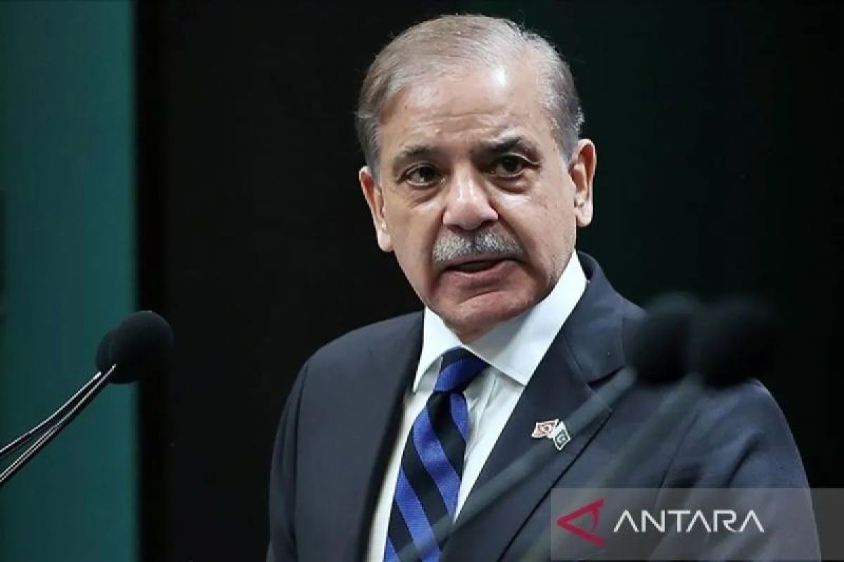 Pakistan calls for international cooperation for Middle East peace