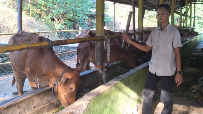 Farmer Groups, Communities, and Cooperatives Drive Food Security in East Java