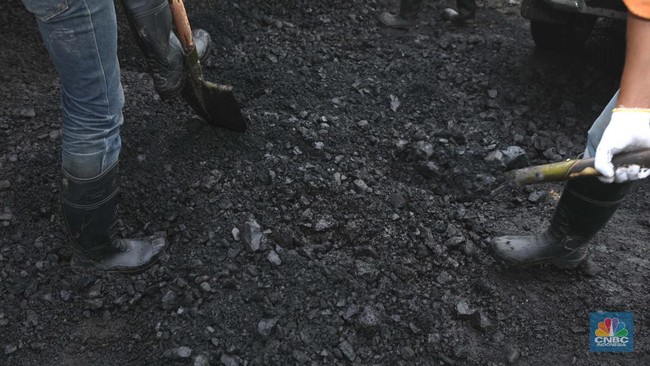 Indonesian Reference Coal Prices All Rise in Early June