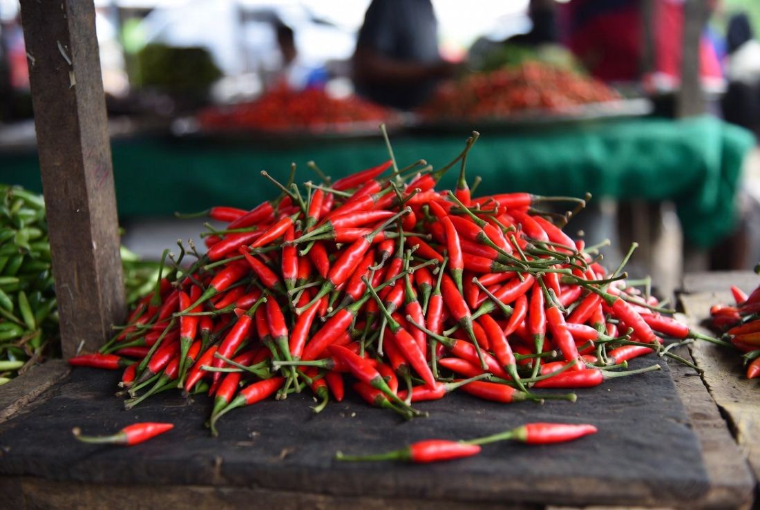 Red Bird's Eye Chilli Prices Surge in Batam, Rising 9 Per Cent in a Single Day