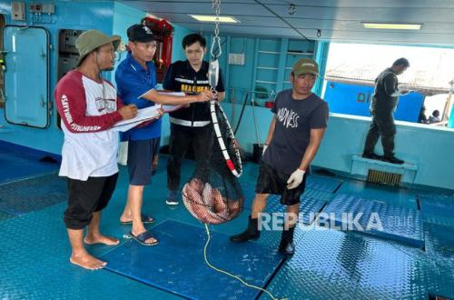 Export of 12 Tonnes of Grouper to Hong Kong: Madura's Fisheries Potential Reaches Global Markets