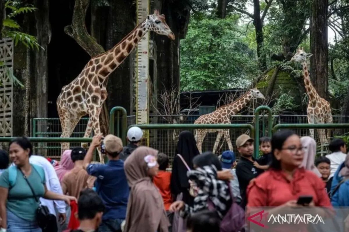 Number of Tourists to Jakarta Decreased in April 2026