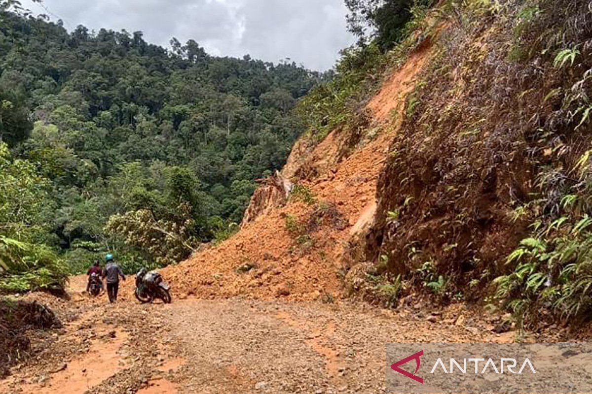 BNPB: Landslide-affected road in Nunukan now passable for vehicles