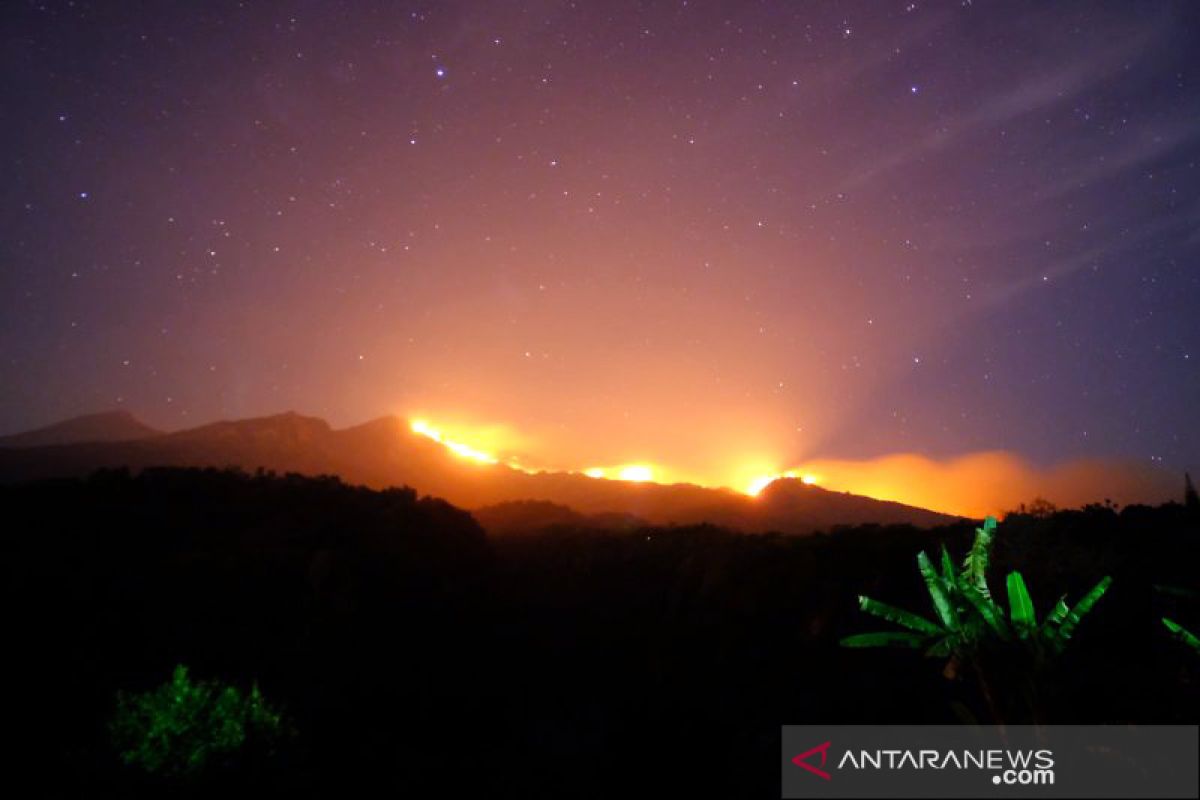 Savanna forest area in Rinjani on fire, flames yet to be extinguished