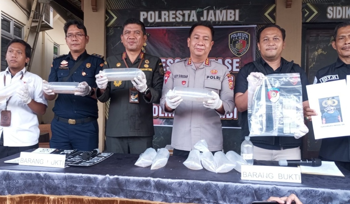 Smuggling of 47,872 Illegal Lobster Seeds Worth Rp7.1 Billion Thwarted in Jambi