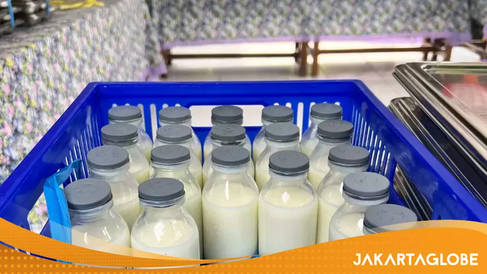Government Rolls Out Milk Hub Plan for MBG Program