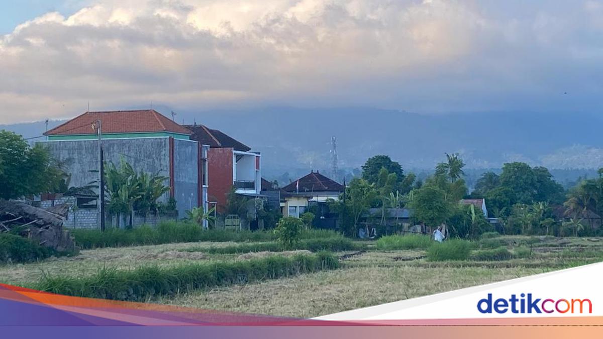440 Hectares of Rice Fields in Karangasem Lost in Five Years as Land Converts to Villas