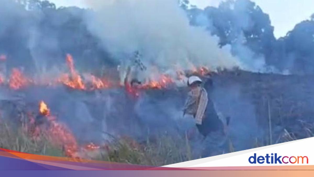 Mount Rinjani National Park on Fire, Officials Struggling to Extinguish Flames