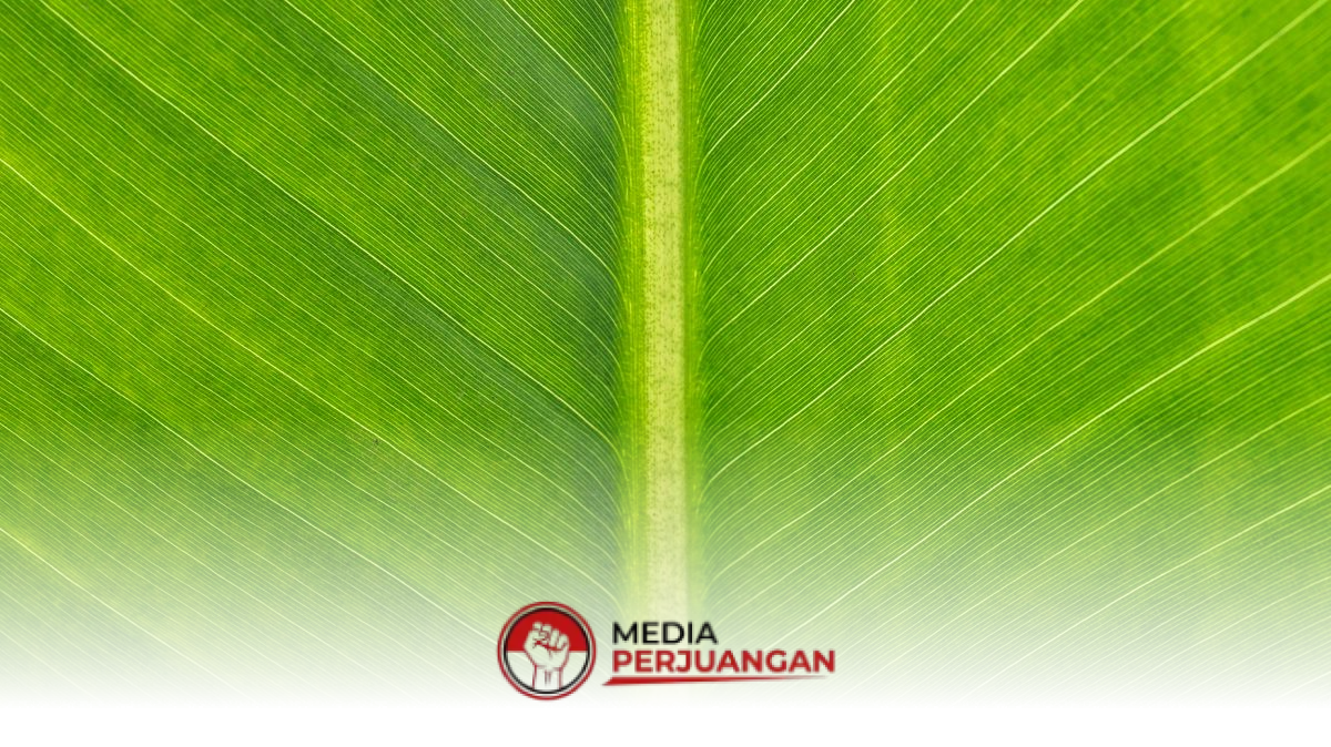 18 Indonesian Stocks Exit MSCI: How OJK is Protecting Your Insurance Funds