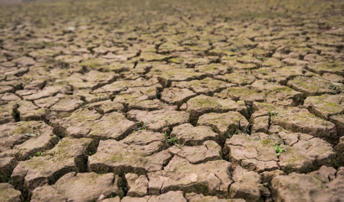 UN Issues Emergency Warning: El Niño Set to Return, Threatening Extreme Weather