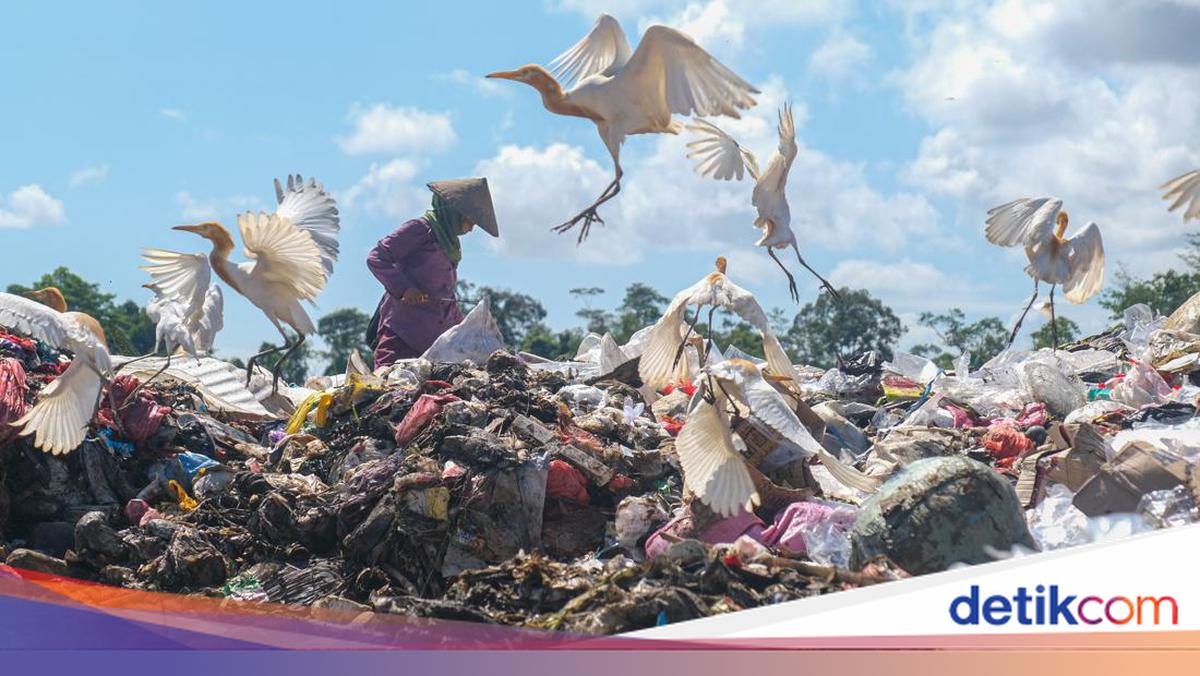 World Environment Day 5 June 2026: History, Theme, and How to Celebrate