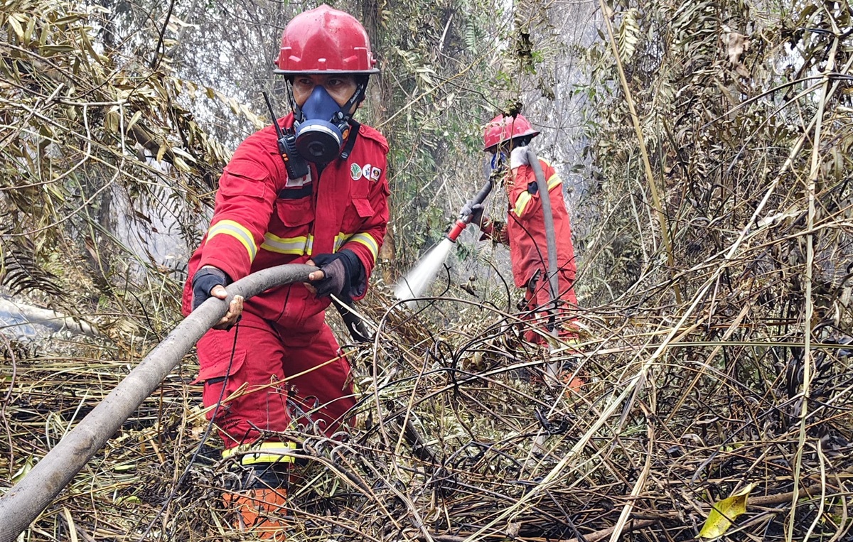 11 Regions in Riau Have Declared Emergency Alert Status for Forest and Land Fires