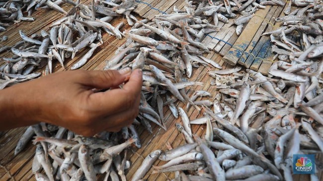 Can Salted Fish and Salted Eggs Trigger Nasopharyngeal Cancer?