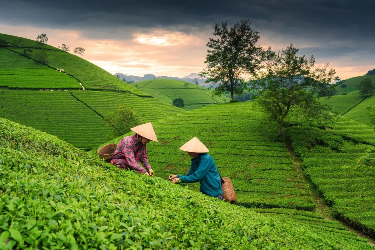 ASEAN Business Advisory Council (ASEAN-BAC) and AVPN Establish Regional Platform