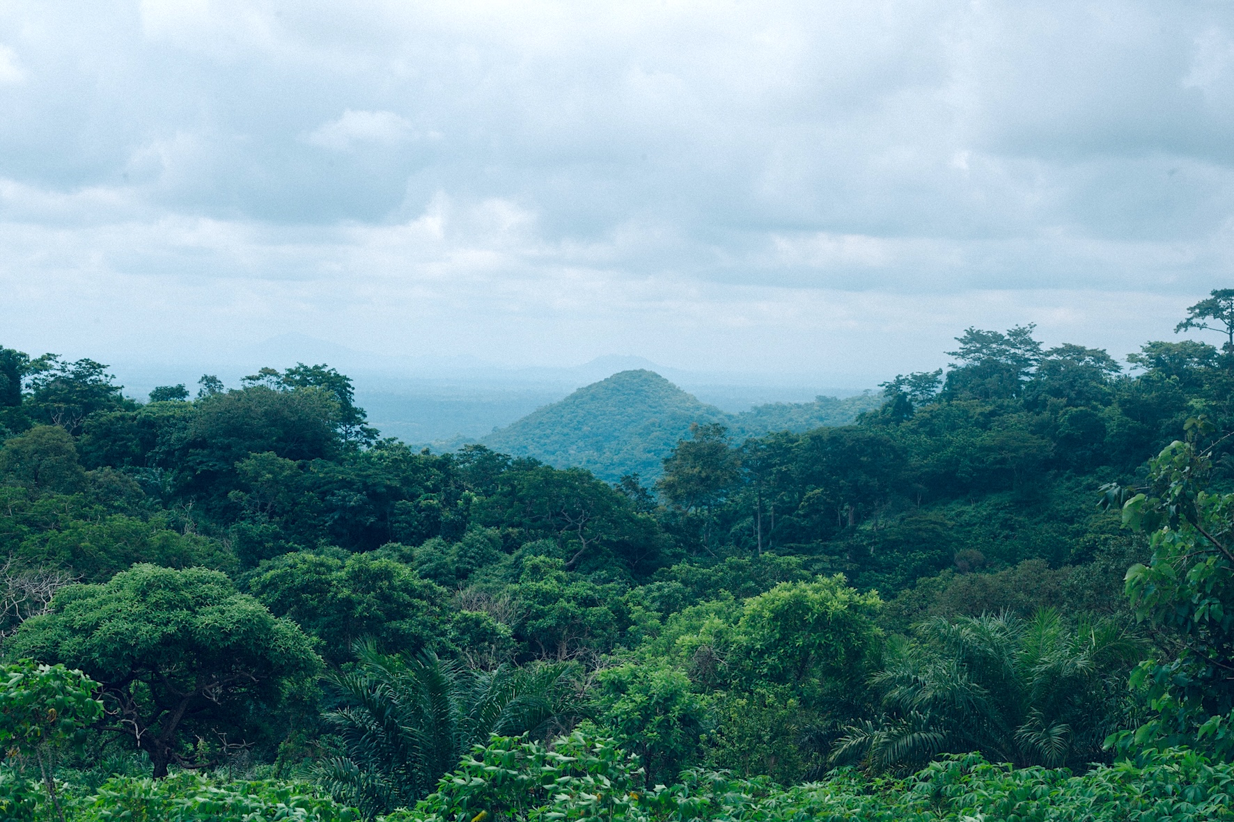 Green Economy Forum Drives Cross-Sector Collaboration Towards Sustainable Development